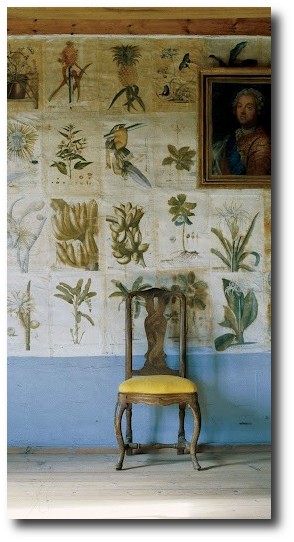 Botanical Illustrations (reproductions from the 1700's) on the wallpaper at the Carolus Linnaeus Swedish estate. Photo by Ingalill Snitt