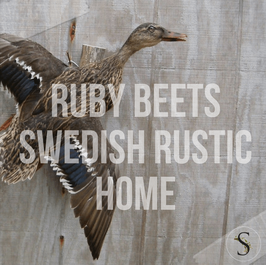 Ruby Beets Swedish Rustic Home